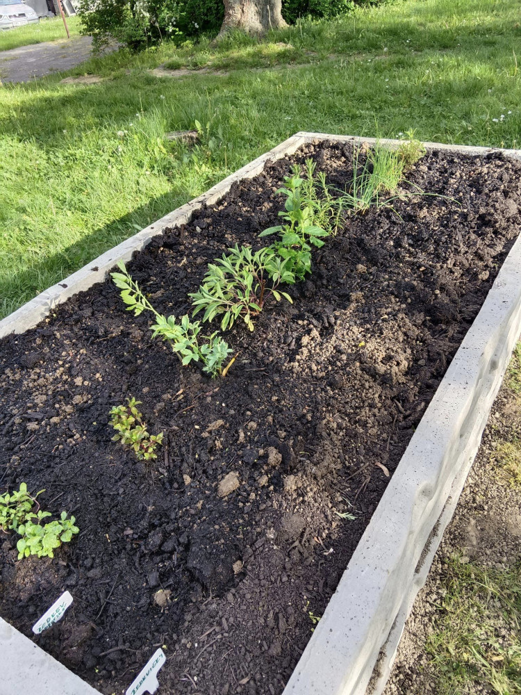 foto: Tereza Koudelková