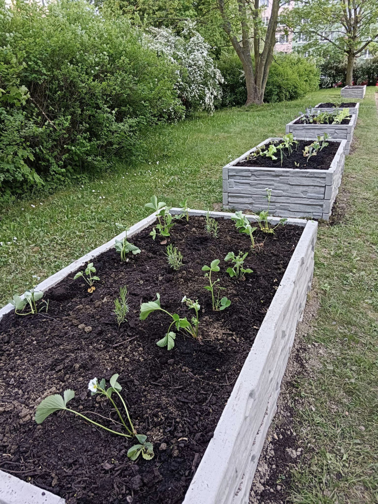 foto: Tereza Koudelková