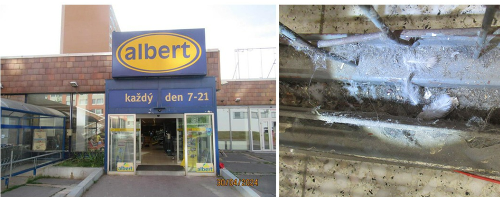 Fotodokumentace SZPI.