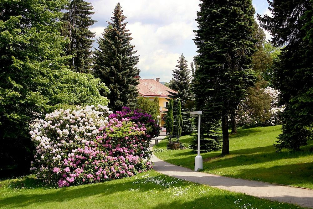 V Lázních Libverda se blíží začátek sezony. Sází na lokální spolupráci s výrobci i nabídku pro místní