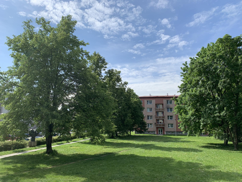 Nechceme garážový dům místo zeleně, zuří lidé z prostějovského sídliště. Petice už má stovky podpisů
