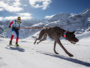 Lékař, sportovec a nastávající otec Alex Nosek bojuje s vážnou nemocí. Za dva dny mu lidé poslali miliony