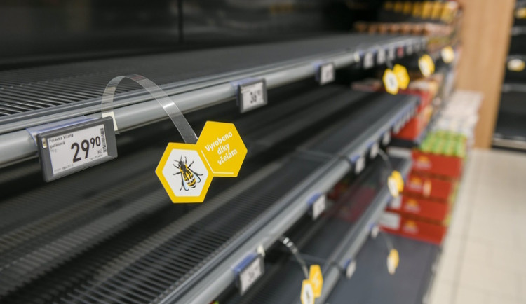 20. května slavíme Světový den včel