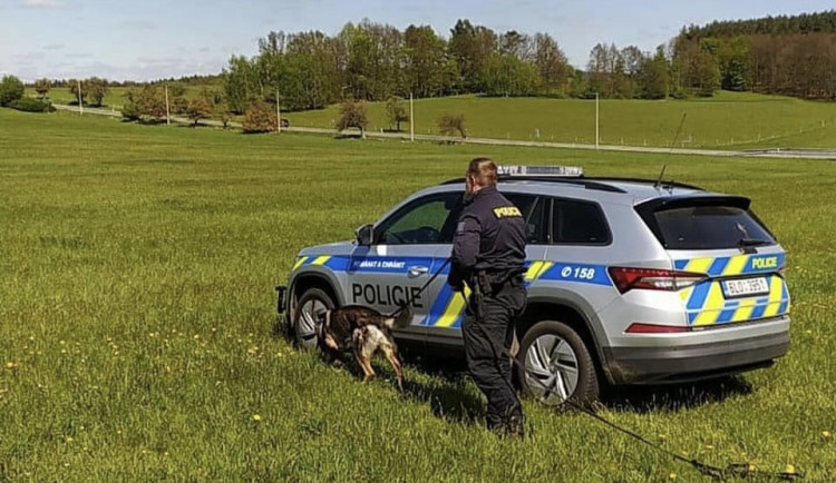 Vloupal se do chalupy, kde se zabydlel. Na útěku muže vypátral služební pes Eman