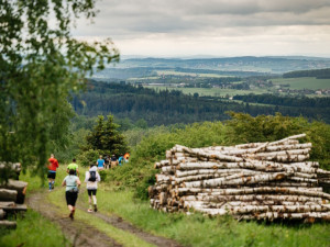 Na závod Běhej lesy v Brdech si našlo cestu přes 1 300 lesních parťáků