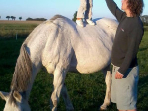 Policisté pořádají sbírku pro kolegu. Po skoku do bazénu bojuje o život