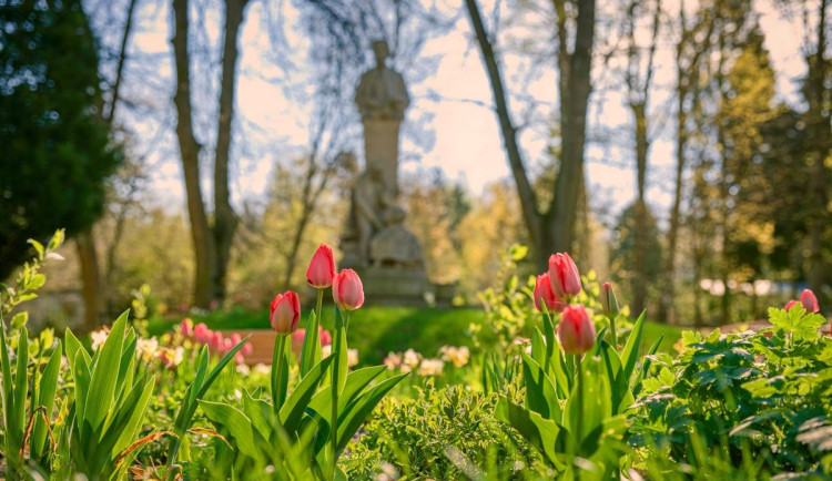 Od historického půdorysu k moderní zeleni. Revitalizace sadů v Hořicích je ve druhé fázi