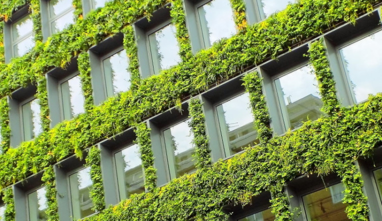 ESG v praxi: Diverzita, inkluze a energetická efektivita jako hnací síla změn