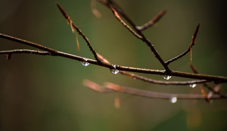 O víkendu to bez deštníku nepůjde. Teploty se dostanou maximálně ke 22 stupňům
