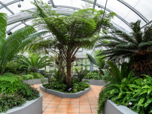 Robot na poli, děti pečující o přírodu. Soutěž E.ON Energy Globe o nejlepší ekologické projekt má šest finalistů