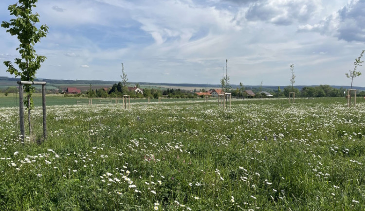 Zdiby a Mělník se nebály Norských fondů