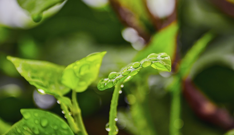 Čeká nás proměnlivý týden. Společně s deštěm a bouřkami naměříme kolem 20 stupňů