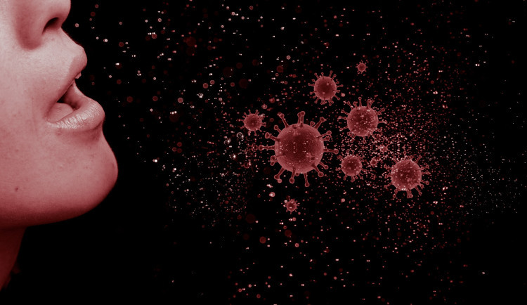 Hrozba nákazy černým kašlem na jihu Čech stále přetrvává, opět se nakazilo přes 100 lidí.