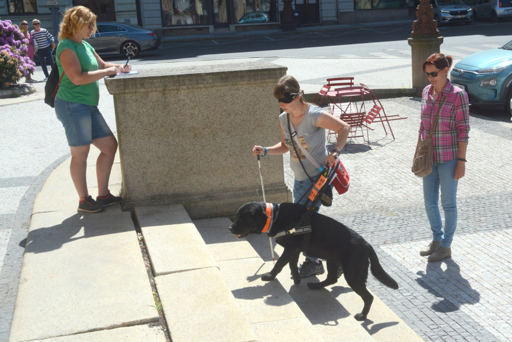 Mistrovství ČR vodících psů nabídne napínavou soutěž i zábavu