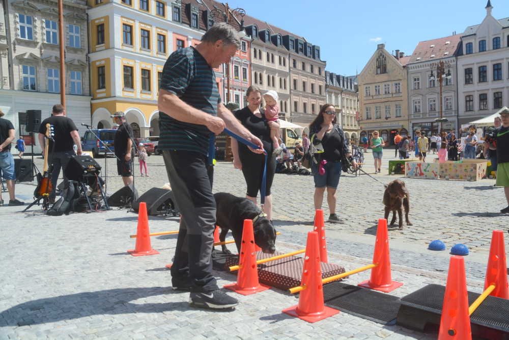 Mistrovství ČR vodících psů nabídne napínavou soutěž i zábavu