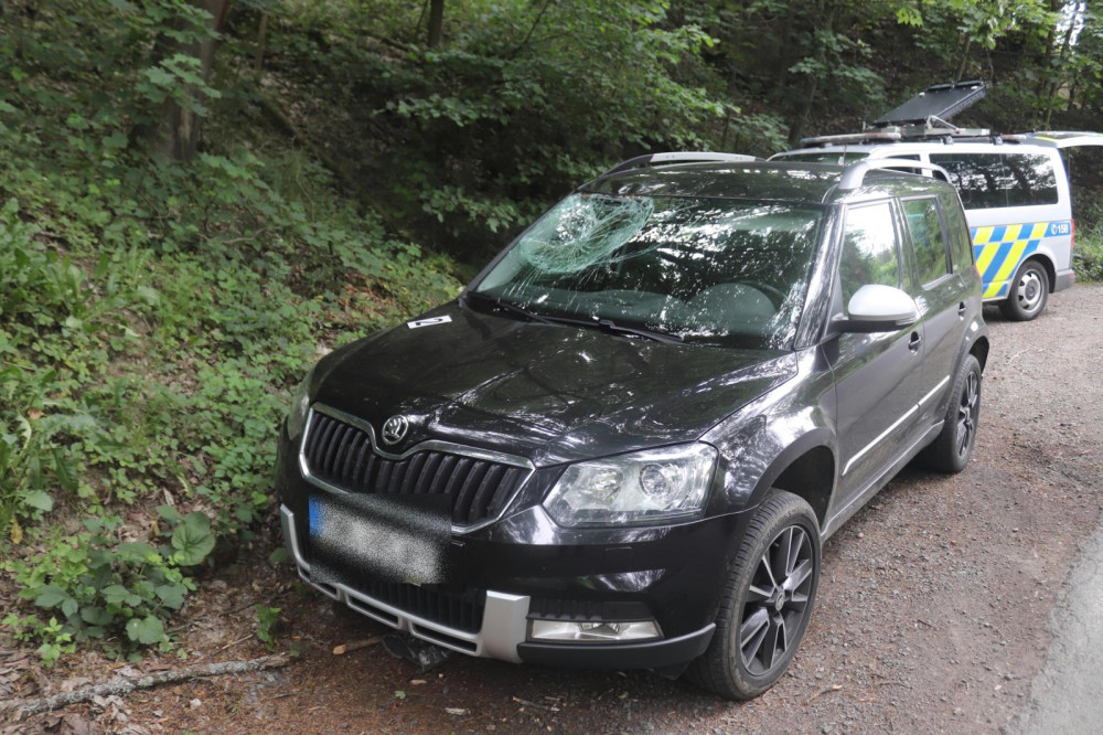 Auto po střetu s jelenem.