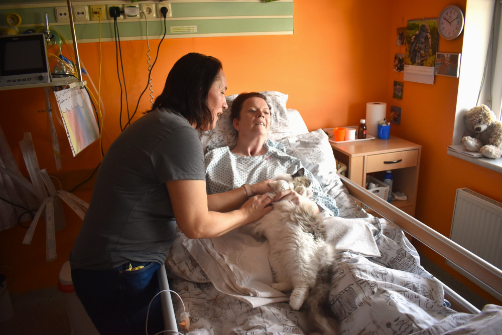 Krnovská nemocnice využívá terapii pomocí koček.