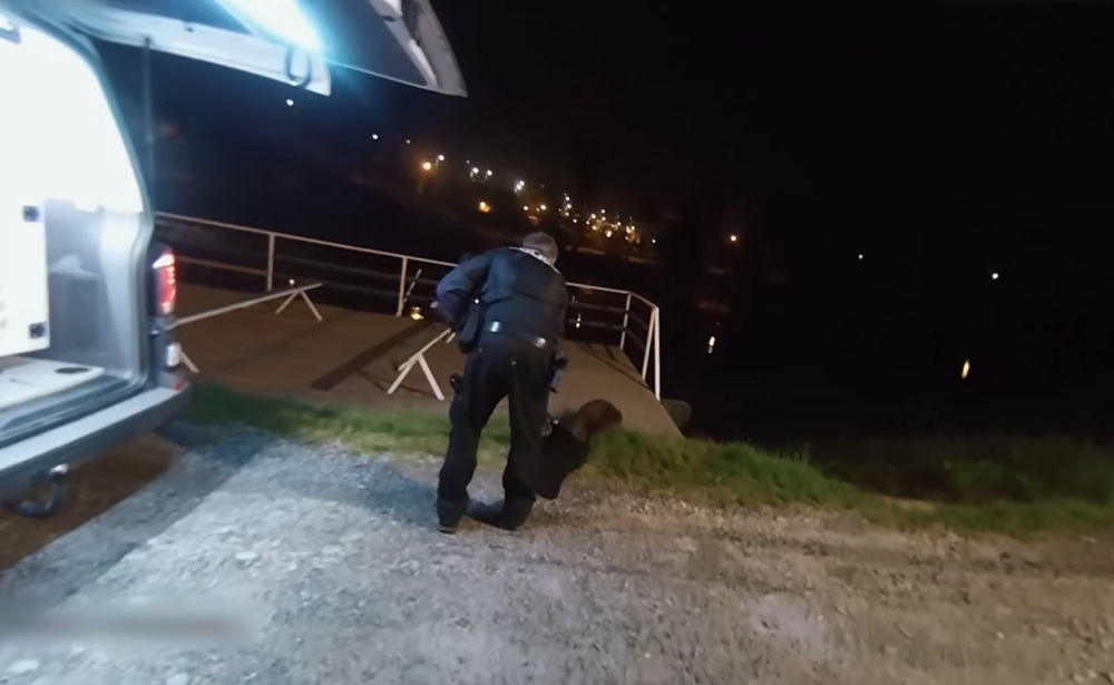 VIDEO: Tady normálně běhá bobr, líčil šokovaný muž. Zavalitý hlodavec si vykračoval kousek od hlavního nádraží