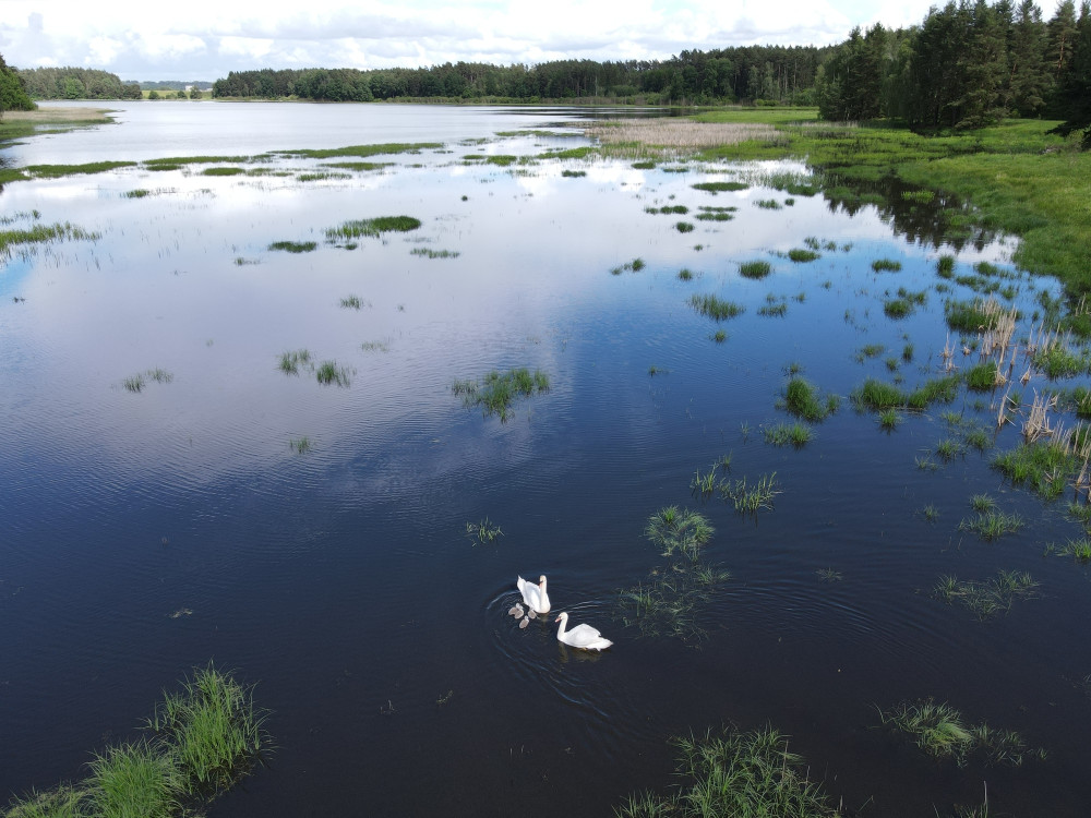 Spokojená rodina po vypuštění na novou lokalitu