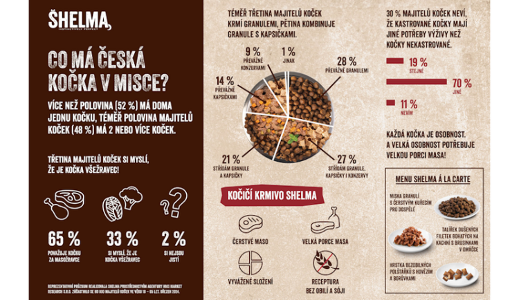 Test majitelů koček v Česku: Třetina zřejmě dělá chyby při krmení, myslí si totiž, že kočky jsou všežravci