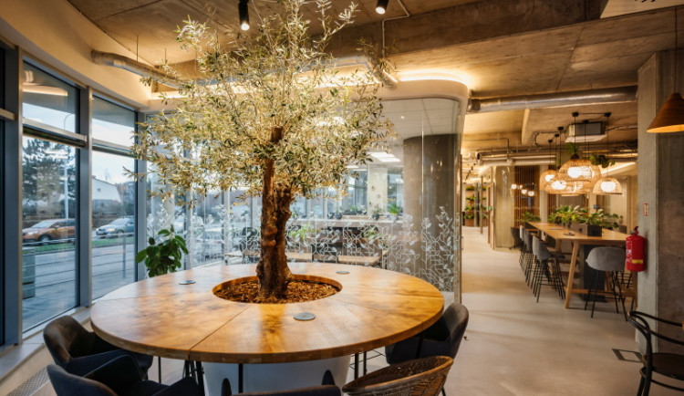 Well-being kanceláře společnosti VITOM vyhrály ocenění Kancelář roku 2023