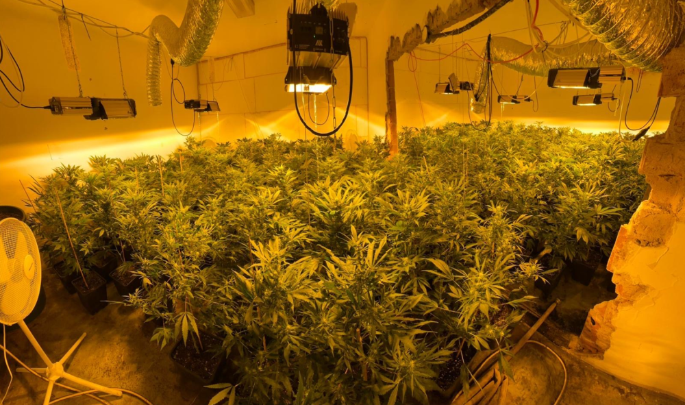 Kriminalisté dopadli dealery kokainu, čtyři z nich putovali rovnou do vazby