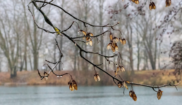 Čeká nás týden dešťových přeháněk a ojedinělých bouřek. V hradeckém kraji se budou hodit deštníky