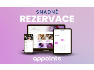 Appoints nabízí živnostníkům šest měsíců zdarma!