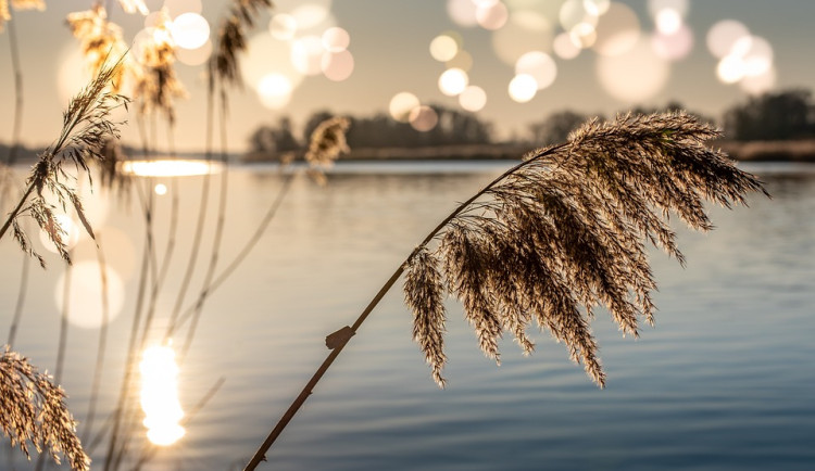 Během tropického víkendu naměříme v Královéhradeckém kraji až 33 stupňů Celsia