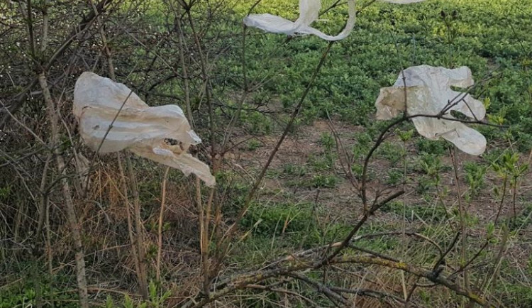 Na Mezinárodní den bez plastových sáčků Ukliďme Česko hlásí – uklizeno!