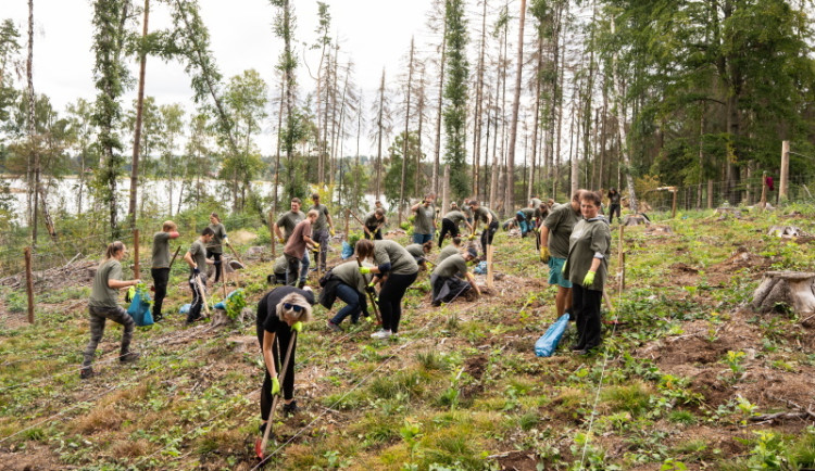 Vyberte, kde vyroste nový Lidl les