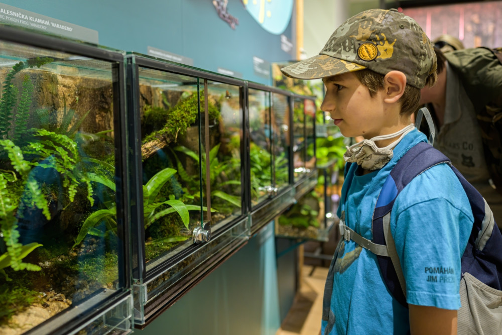 V pražské zoologické zahradě začala výstava pralesniček, potrvá do poloviny září.
