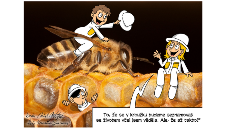 Spolek VČELÍ STRÁŽ stojí vždy na straně opylujícího hmyzu
