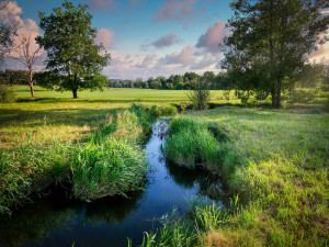 Klima může mít vliv na zásoby pitné vody, Česko se ale obávat nemusí, míní expert