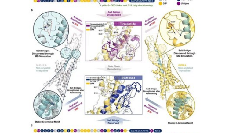 Studie v magazínu Nature odhalila: Přípravek BGM0504, navržený za podpory umělé inteligence a molekulární dynamiky, vykazuje zvýšenou účinnost