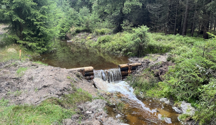 Jak zadržet vodu v Jizerkách? Vodohospodáři do odvodňovacích koryt instalovali stovky fošen a klád