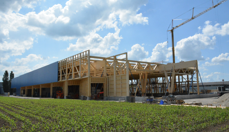 Dřevo v logistice? Inspirativní projekty z Evropy a jejich vliv na český trh