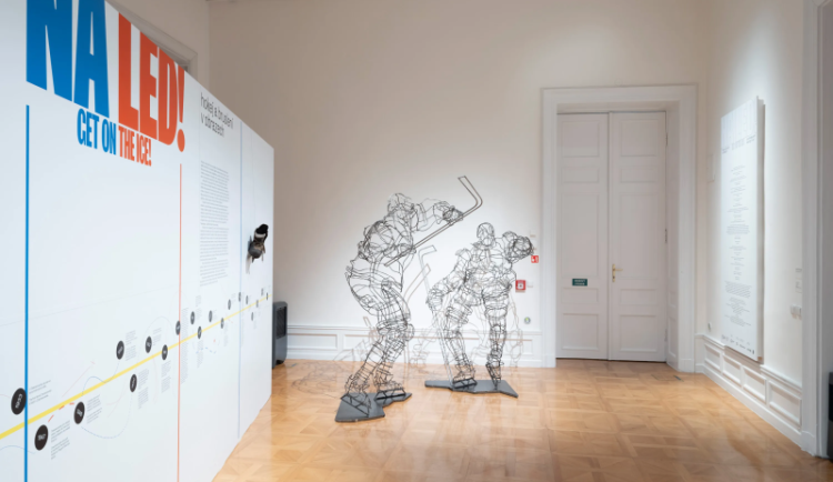 Na led! Hokej a bruslení v obrazech