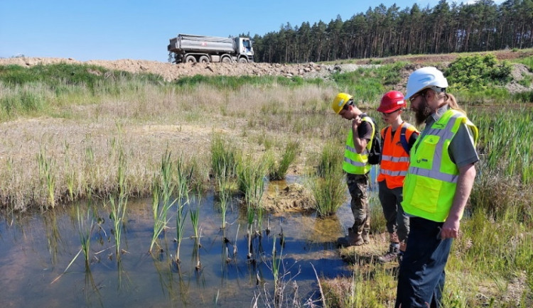 Unikátní soutěž: Heidelberg Materials vyhlašuje 6. ročník soutěže Quarry Life Award