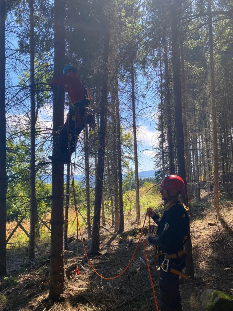Horské záchranáře nejvíce zaměstnávají cyklisté. Na Šumavě sundávali ze stromu i několik paraglidistů