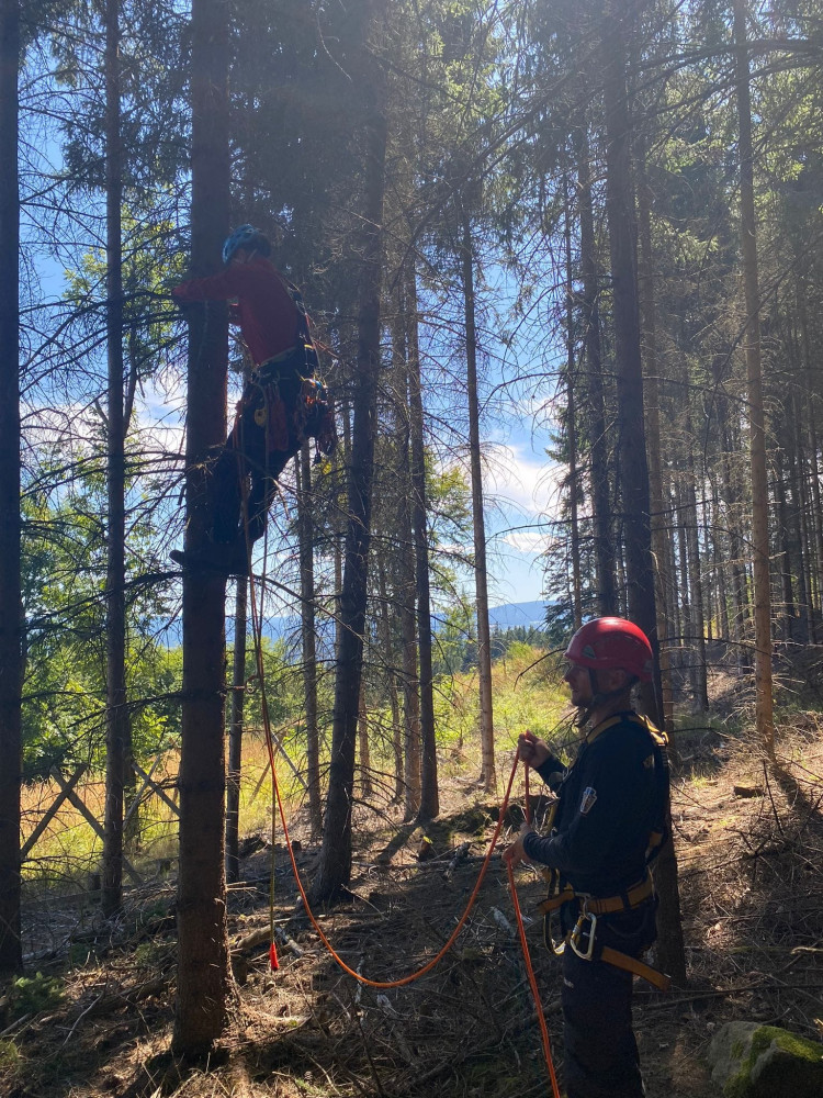 Horské záchranáře nejvíce zaměstnávají cyklisté. Na Šumavě sundávali ze stromu i několik paraglidistů