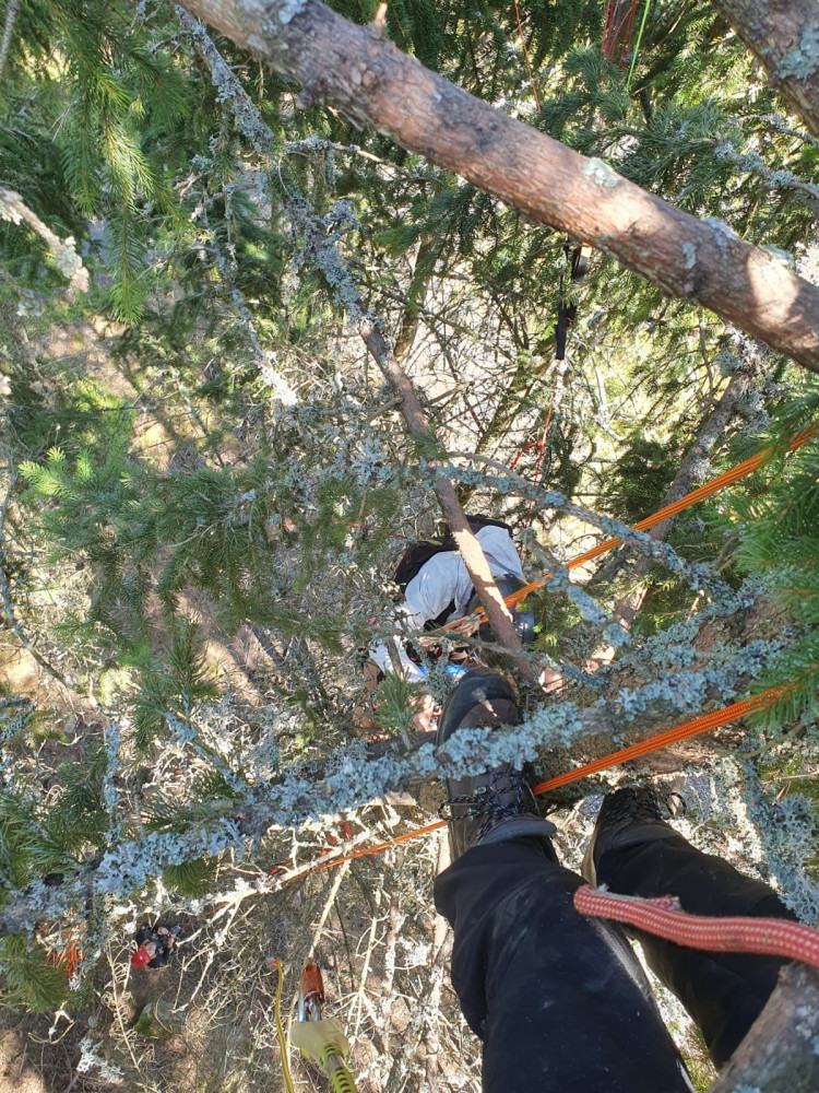 Horské záchranáře nejvíce zaměstnávají cyklisté. Na Šumavě sundávali ze stromu i několik paraglidistů