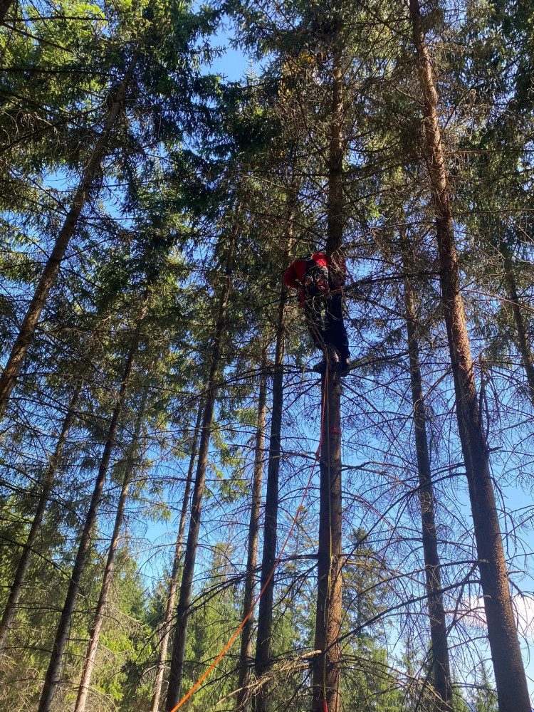Horské záchranáře nejvíce zaměstnávají cyklisté. Na Šumavě sundávali ze stromu i několik paraglidistů