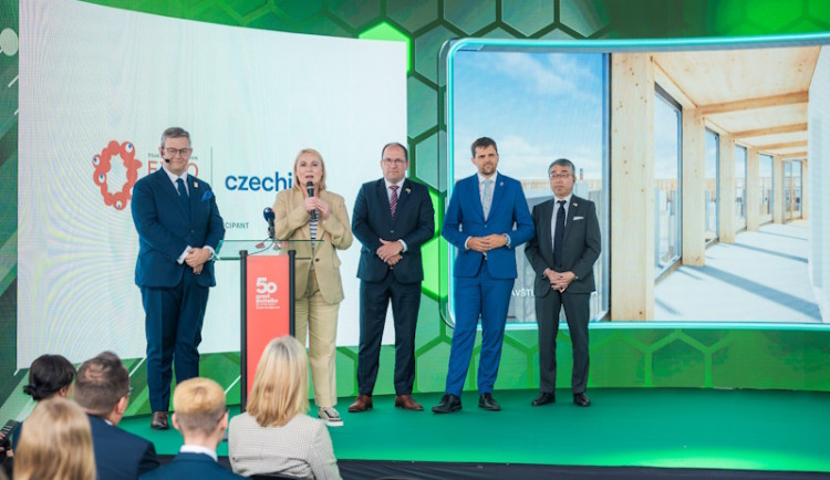 Dřevo z českých lesů bude světové