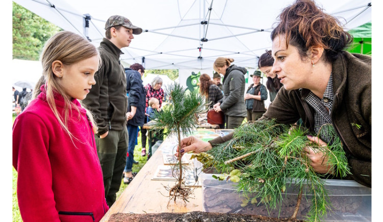 Festival dřeva přináší akční zábavu pro celou rodinu – nenechte si to ujít! Už v sobotu 14. září v Bělském lese