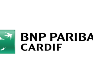BNP Paribas Cardif Pojišťovna reaguje na meteorologické výstrahy. Klienti na jejím webu najdou instrukce, jak řešit případné škody