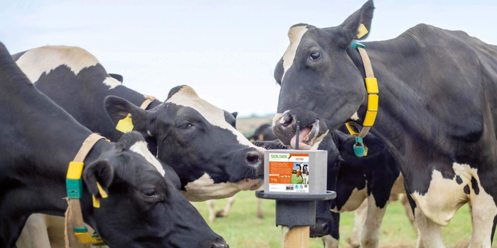 Posolíme.cz je největší dodavatel soli a solných produktů v Jihočeském kraji