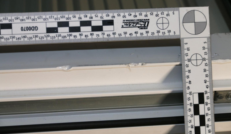 Kriminalisté navrhli obžalovat dva cizince. Kvůli krádežím si pro ně přišla zásahovka