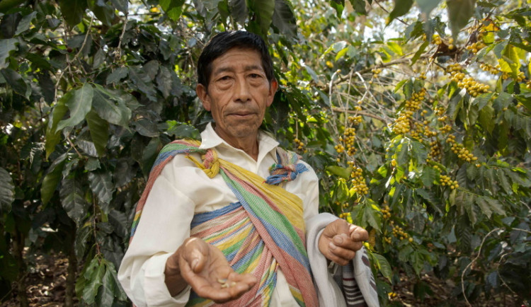 Za 20 let působení Fairtrade Česko a Slovensko získali pěstitelé díky prodeji fairtradového zboží 200 milionů Kč na rozvoj komunit