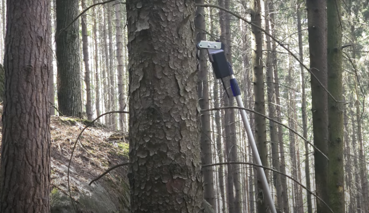 Jihočeští vědci vyvinuli sondu, která pomůže chránit lesy před kůrovcem